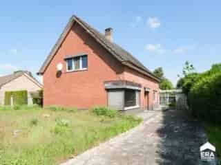 Huis te koop Peer renovatieproject