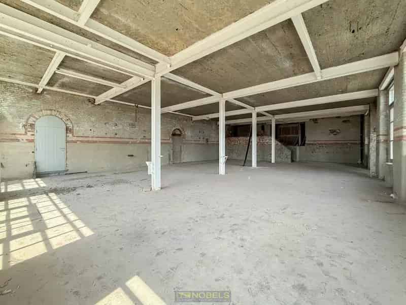 Casco Loft 243m² te Avelgem - Ruime Loft met Parkeerplaats