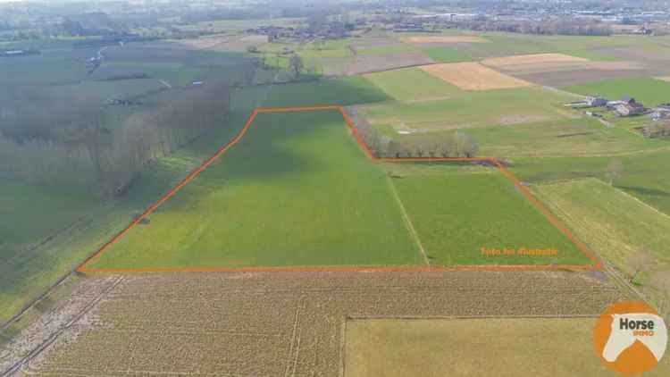 Landbouwgrond te koop Hillegem 4ha 32a