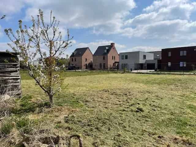 Bouwgrond Oelegem: Rustige ligging nabij scholen en snelwegen