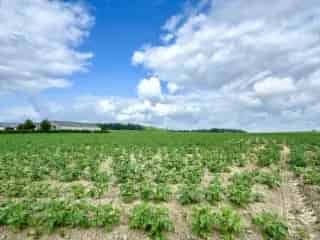 Bouwgrond Sint-Denijs - Uniek Open Zicht