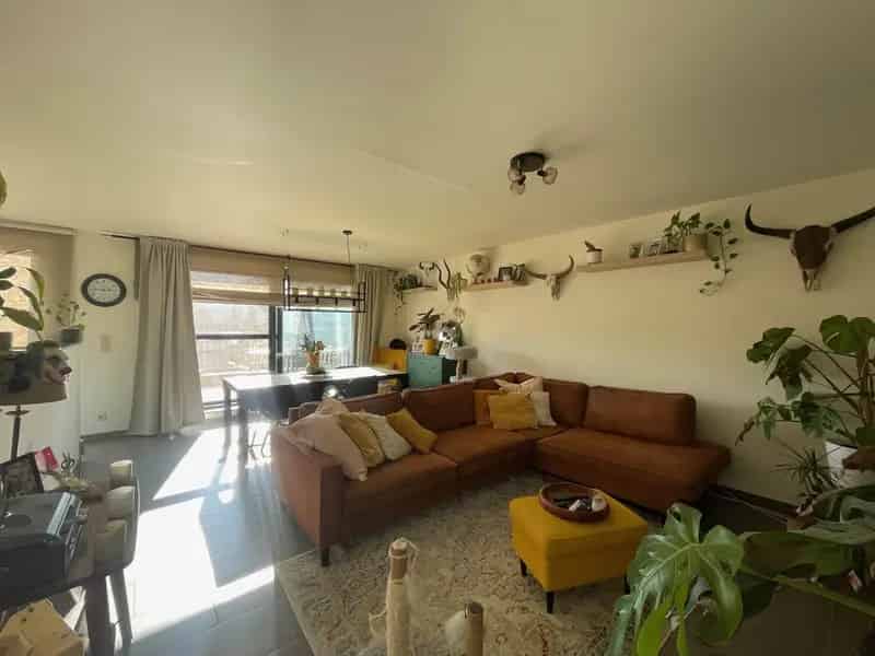 Nieuwbouwappartement 1 slaapkamer Halle