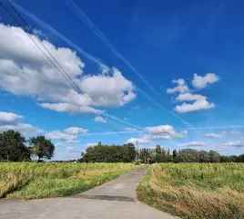 Boerderij - hoeve te koop - Veldegem RBL85806