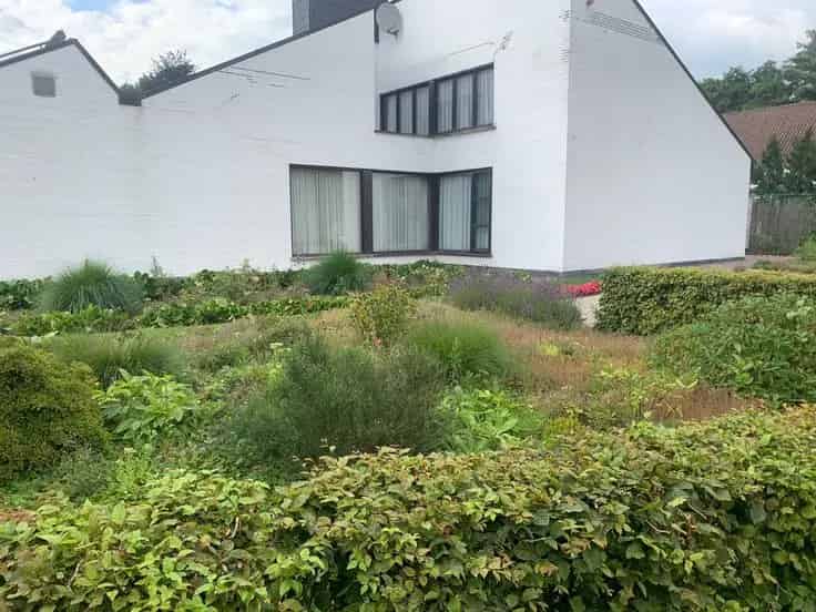 Te renoveren villa Schilde 350m² 2100m² grond