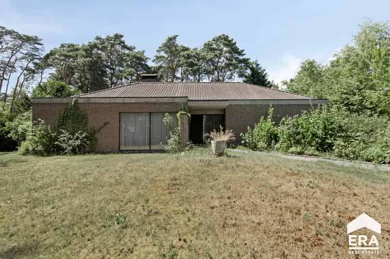 Gelijkvloerse woning te huur in Balen