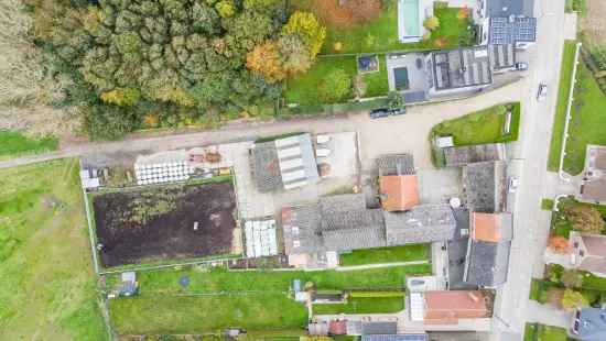 Te koop prachtige manege met woonst en ruime stallen in Lebbeke