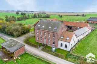 Boerderij - hoeve te koop - Pepingen RBR82037