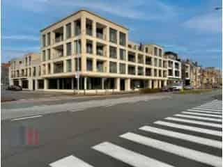 Kantoorruimte te huur Brugge 252m²