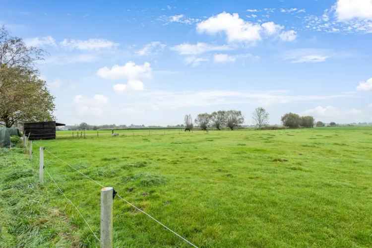 Weiland met 4 Paardenstallen te Koop in Hoevenen