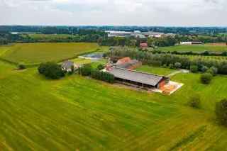 Boerderij - hoeve te koop - Dentergem RBP90947