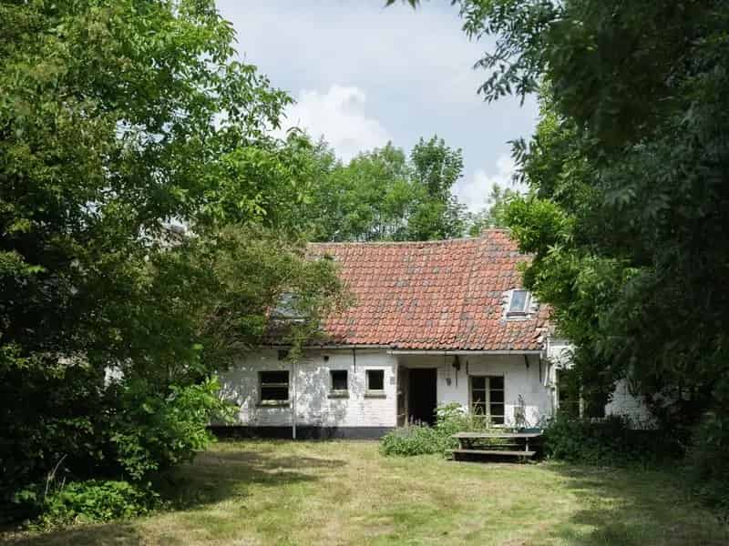Te renoveren hoeve 2179m² Dikkelvenne