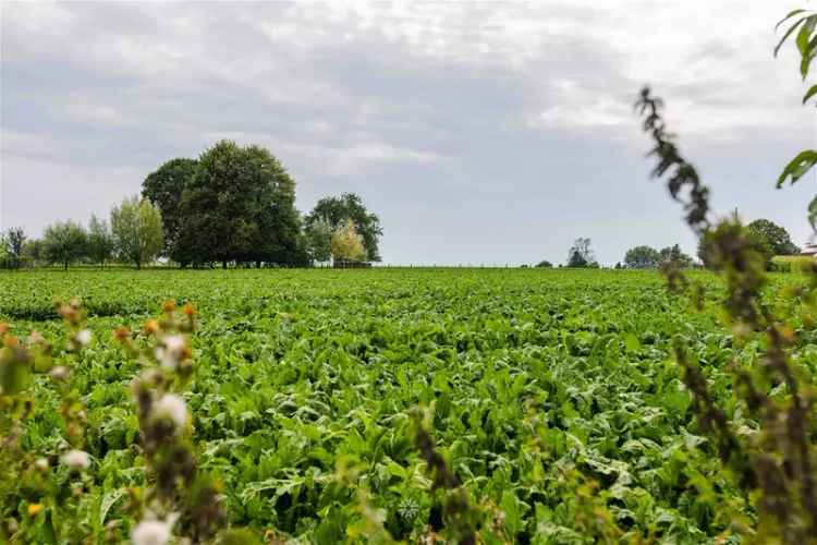 Uniek renovatieproject of bouwgrond op een uitzonderlijke locatie te Mater