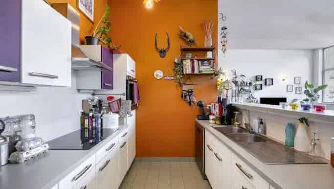 Gelijkvloers Appartement Ronse Grote Buitenruimte