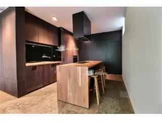 Huis te huur Elsene 180m2 3 slaapkamers dakterras 2 parkings