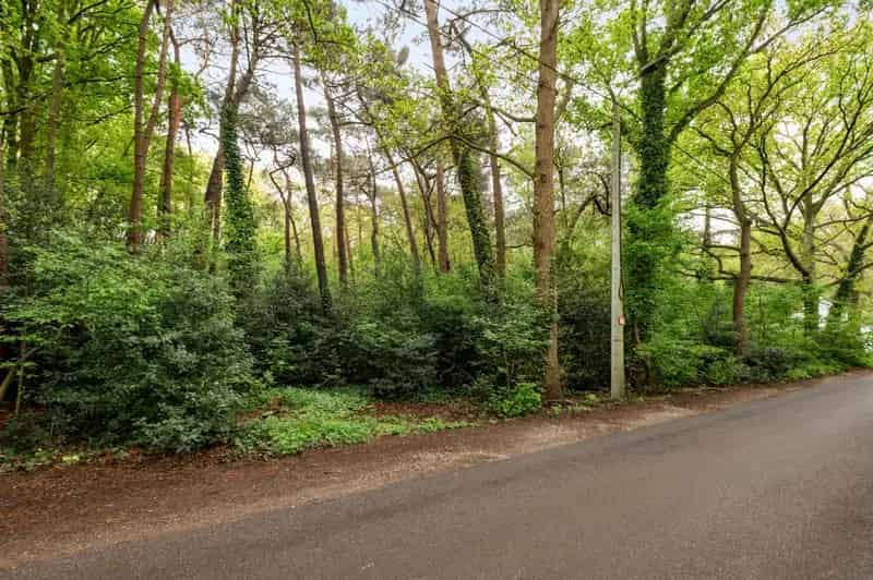 Bosgrond te koop Zandvliet 1000m²