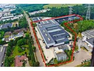 Industrie te koop Zutendaal 10125m2 Opslag Kantoren Appartementen