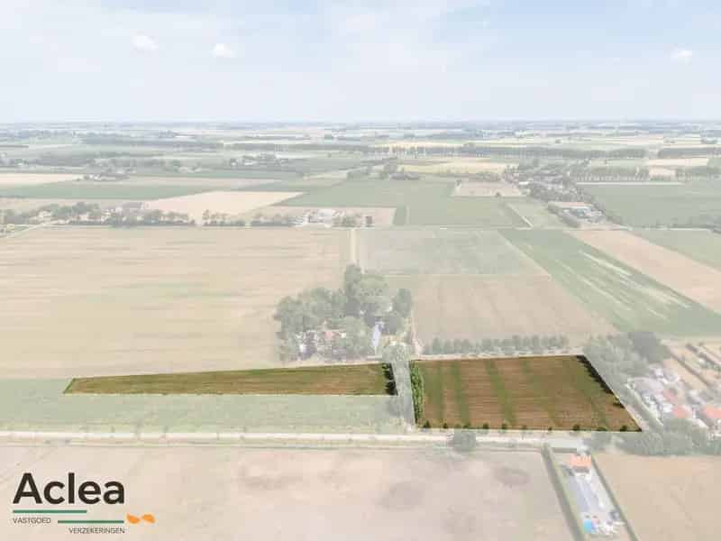 Weide te koop Sint Laureins ideaal dierenliefhebbers