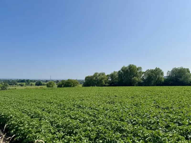 Bouwkavel 986m² Rustige Landelijke Omgeving Montzen