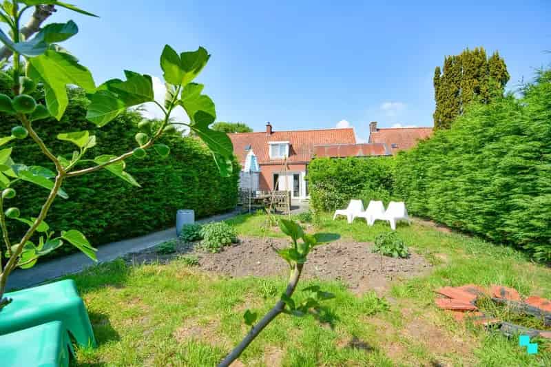 Licht te renoveren HOB Roeselare