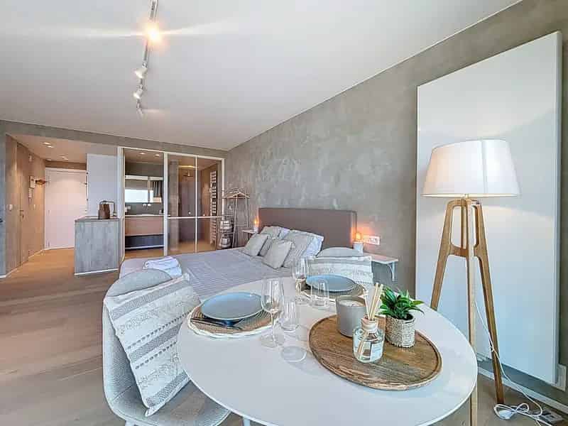 Luxe Studio Zeezicht Gerenoveerd EPC B