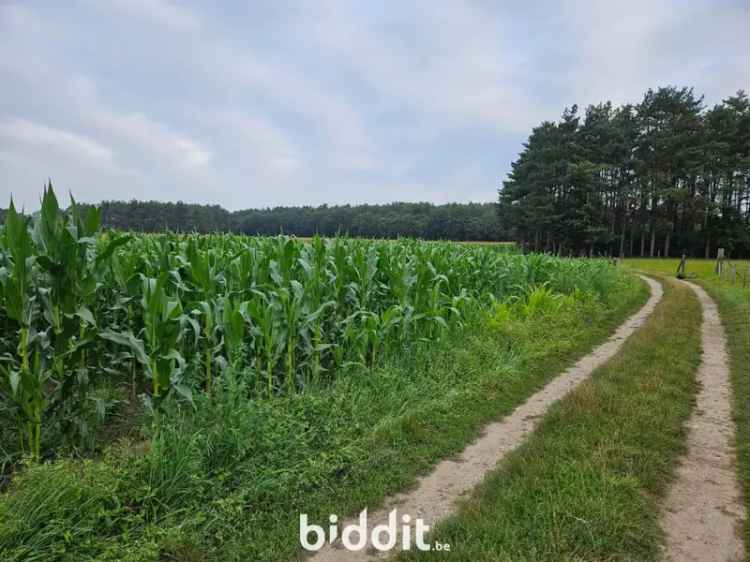 Perceel landbouwgrond te koop op den Berg met belangrijke kenmerken