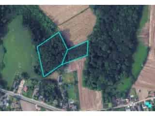 Bosgrond te Koop Ronse - 1 Hectare Nabij Natuurreservaat