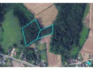 Bosgrond te Koop Ronse - 1 Hectare Nabij Natuurreservaat