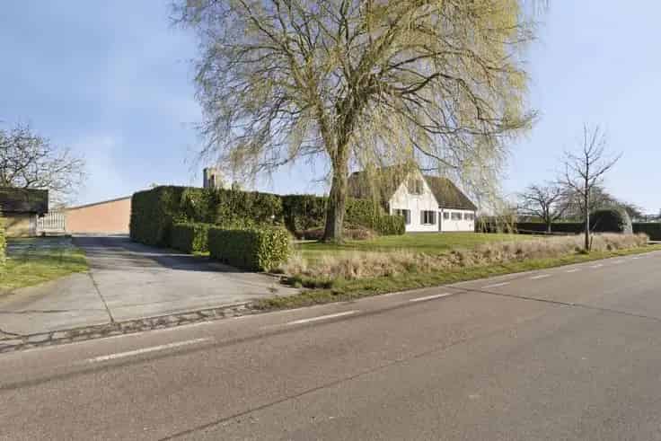 Boerderij te Koop 4 slaapkamers Grote Tuin Essen Horendonk