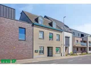 Duplex Appartement Laakdal 2 slaapkamers Terras