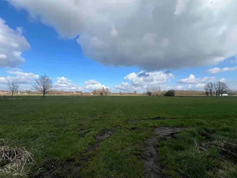 Landbouwgrond te huur Duffel 12020m²