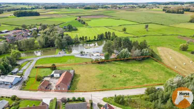 Te renoveren hoeve met weiland en bouwgrond in Glabbeek