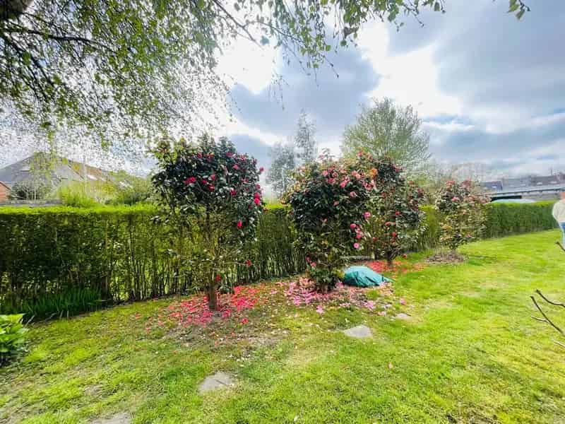 Eengezinswoning Brugge: Energiezuinig huis met grote tuin