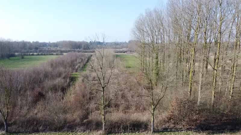 Bosgebied Volledige Aanbod