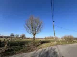 Landbouwgrond te koop Nieuwerkerken 79a 81ca