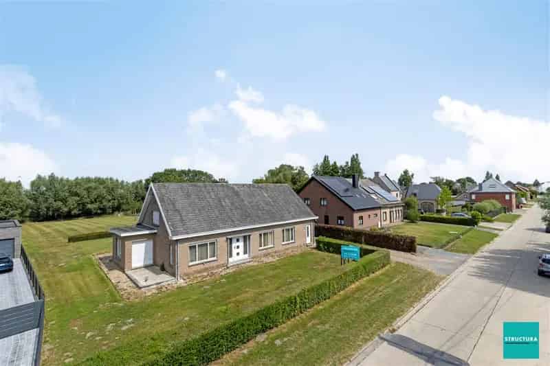 Ruime woning te renoveren 160m² 26a 3 slaapkamers Buggenhout