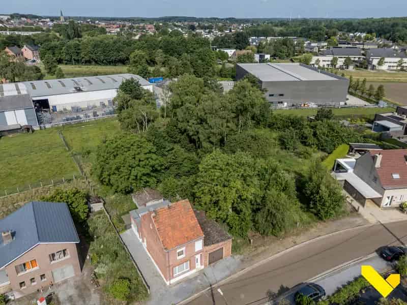 Huis te huur of te koop: Renovatieproject met veel mogelijkheden