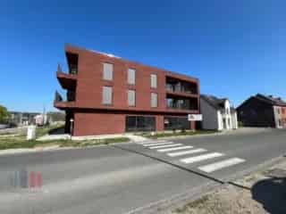 Handelspand te koop Drongen 297m²