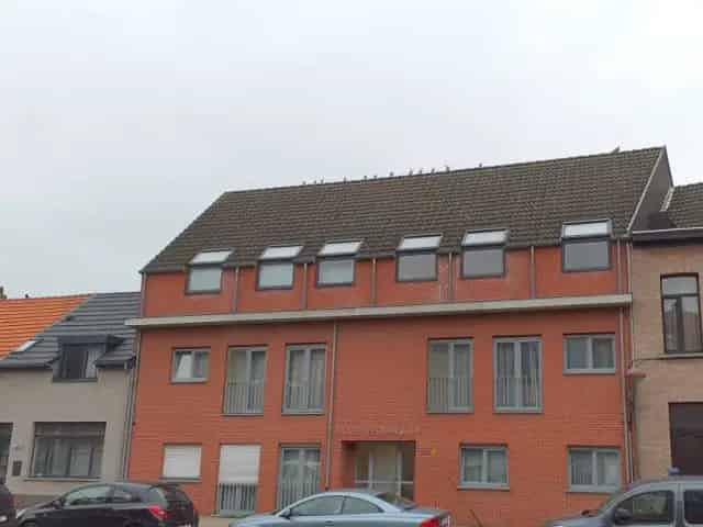 Appartementen Laaglandlaan 237 8 appartementen 3 verdiepingen