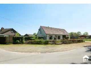 Boerderij hoeve te koop Hechtel