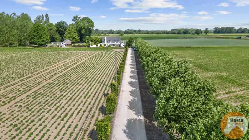 Huis te huur Rummen: Landelijk landhuis met 4 slaapkamers en paardenstallen