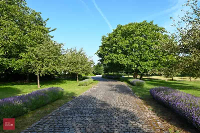 Luxe Landhuis te Koop Ruime Tuin Zwemvijver 6 slaapkamers