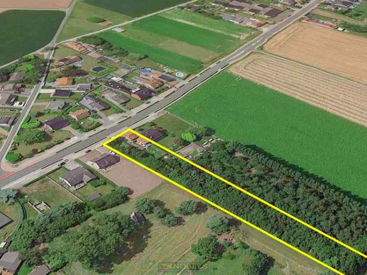 Huis te koop te Huise: te renoveren woning met bos en uitbreidingsmogelijkheden