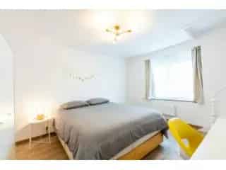 Appartement te delen Sint-Jans-Molenbeek - Studenten