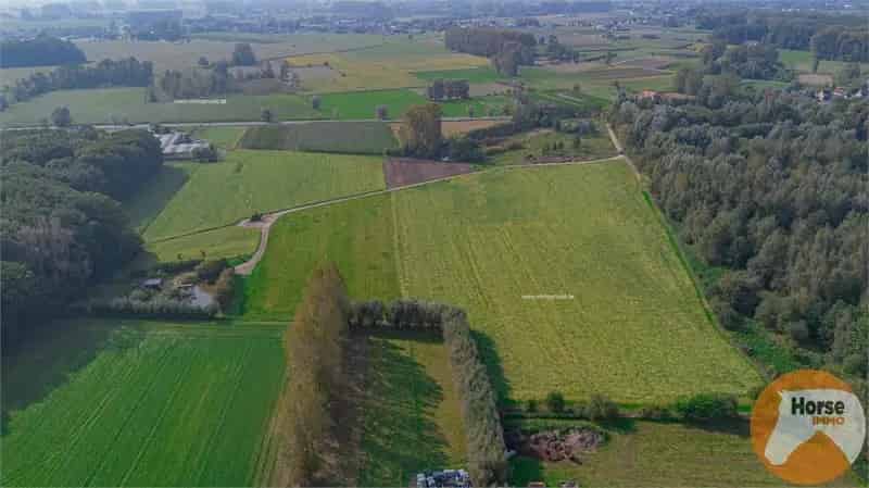 Landbouwgrond te koop Wetteren 553 hectare