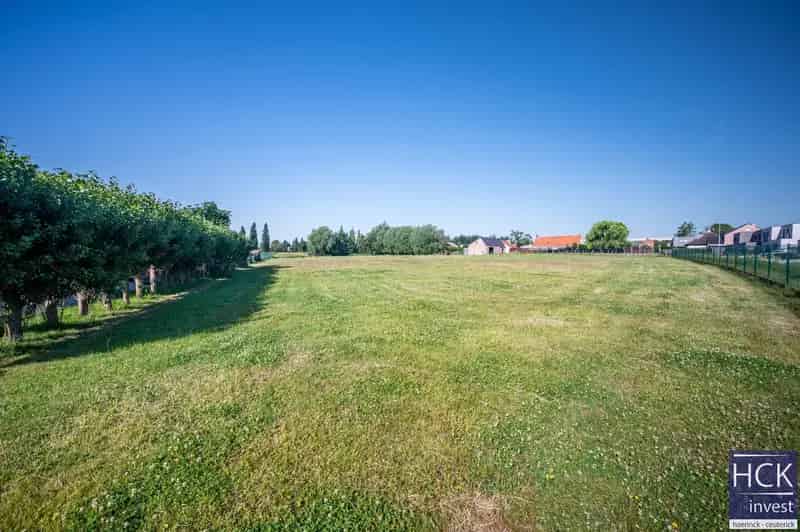 Weiland 11ha te KRUISHOUTEM - Ideaal voor Paardenliefhebbers