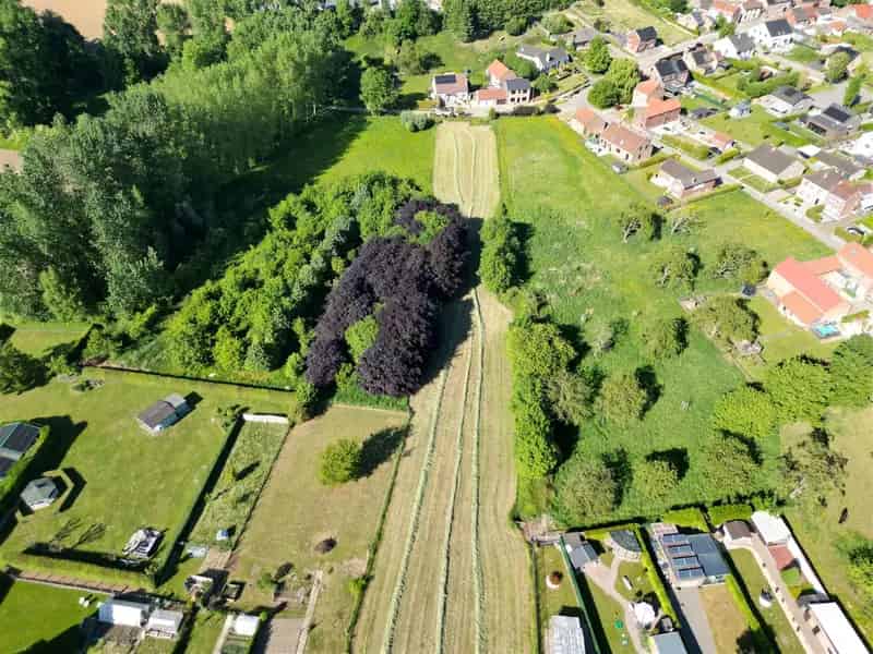 Bouwgrond Halfopen Bebouwing Tongeren