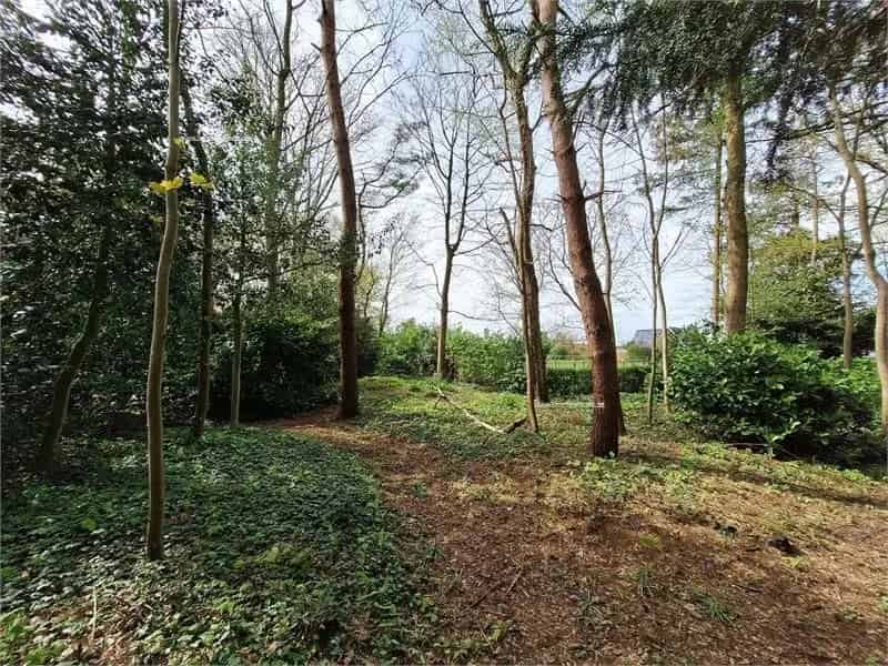 Bouwgrond te koop Maldegem - Rustig - 955m² - Open Uitzicht