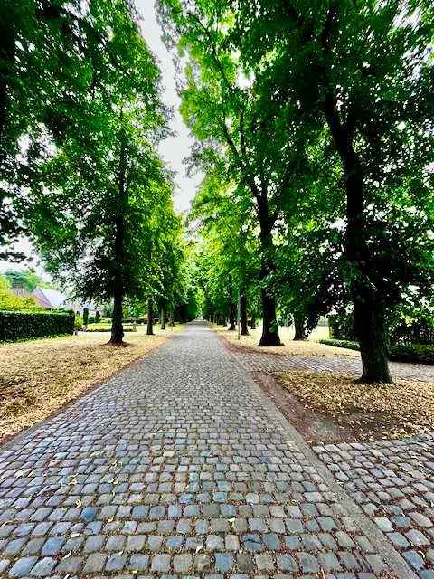 Grond te huur residentieel in Noorderwijk met groene oase