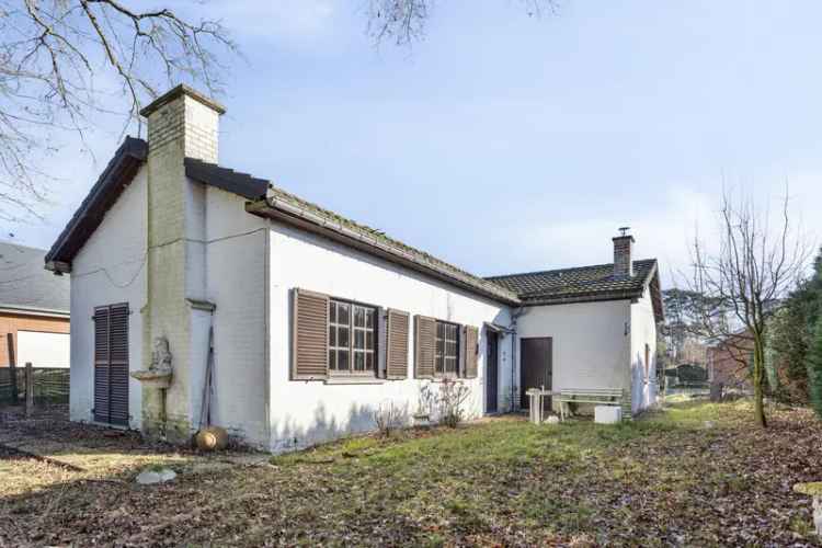Huis te koop Keerbergen: renovatieproject of nieuwbouw