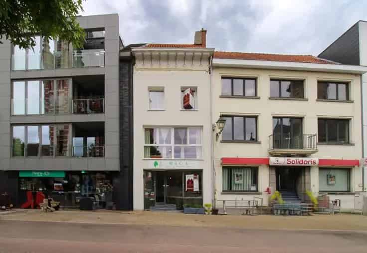 Huis Te Koop Temse: Handelshuis met Woonst en Luxueuze B&B